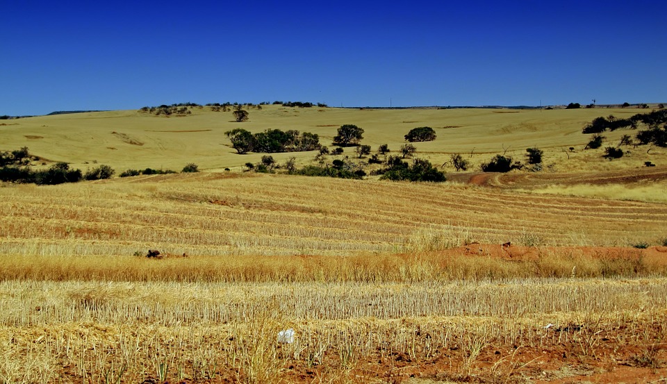 Winning long term: Australian farm sector&nbsp;re-made